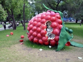 Несъедобная малина