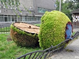 Разрушителей  «Зеленого шара» в Иркутске нашли