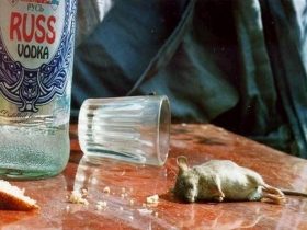 В Иркутске изъято 60 тысяч бутылок "паленой" водки