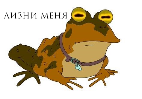 mainimg