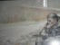 preview-image
