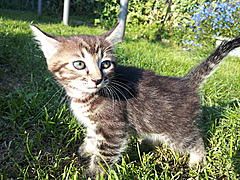 Нажмите на изображение для увеличения
Название: 2012-08-09 19.01.16.jpg
Просмотров: 170
Размер:	102.3 Кб
ID:	13452