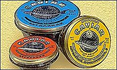 Нажмите на изображение для увеличения
Название: _1858689_caviar300.jpg
Просмотров: 212
Размер:	26.0 Кб
ID:	13789