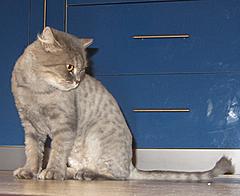 Нажмите на изображение для увеличения
Название: IMG_0448.jpg
Просмотров: 128
Размер:	97.9 Кб
ID:	14730