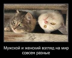 Нажмите на изображение для увеличения
Название: 1310034917_demotivator_pak_nomer61_89_bender777post.jpg
Просмотров: 91
Размер:	32.1 Кб
ID:	1787