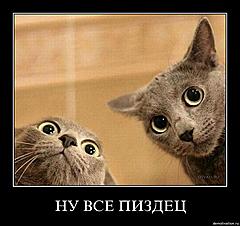 Нажмите на изображение для увеличения
Название: pc14u9c01b2k.jpg
Просмотров: 129
Размер:	48.9 Кб
ID:	18118