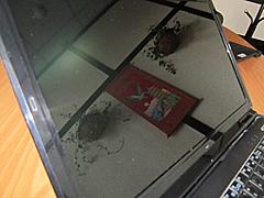 Нажмите на изображение для увеличения
Название: Image00003.jpg
Просмотров: 181
Размер:	62.3 Кб
ID:	19031