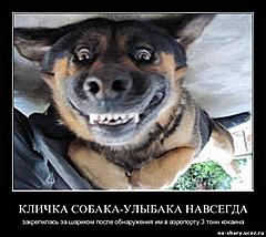 Нажмите на изображение для увеличения
Название: 498881237.jpg
Просмотров: 202
Размер:	44.8 Кб
ID:	25925