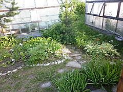 Нажмите на изображение для увеличения
Название: P1020098_res.jpg
Просмотров: 895
Размер:	98.6 Кб
ID:	27457