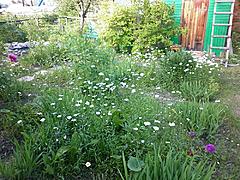 Нажмите на изображение для увеличения
Название: P1020105_res.jpg
Просмотров: 872
Размер:	99.5 Кб
ID:	27458