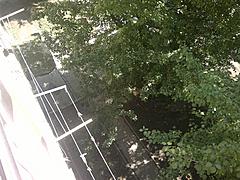 Нажмите на изображение для увеличения
Название: 2013-07-26-1384.jpg
Просмотров: 160
Размер:	91.6 Кб
ID:	27673