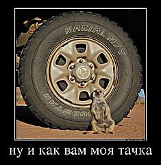 Нажмите на изображение для увеличения
Название: dem017.jpg
Просмотров: 366
Размер:	78.0 Кб
ID:	29364