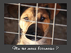 Нажмите на изображение для увеличения
Название: 3.jpg
Просмотров: 125
Размер:	93.7 Кб
ID:	3534
