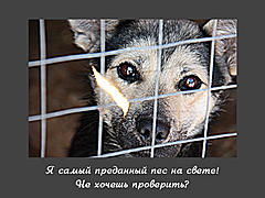 Нажмите на изображение для увеличения
Название: 4.jpg
Просмотров: 140
Размер:	94.4 Кб
ID:	3535