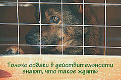 Нажмите на изображение для увеличения
Название: 14.jpg
Просмотров: 132
Размер:	58.4 Кб
ID:	3540