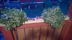 Нажмите на изображение для увеличения
Название: YuRLUpyt1wQ.jpg
Просмотров: 168
Размер:	97.4 Кб
ID:	40468