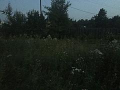 Нажмите на изображение для увеличения
Название: rksrNN9P8IQ.jpg
Просмотров: 127
Размер:	77.6 Кб
ID:	41766