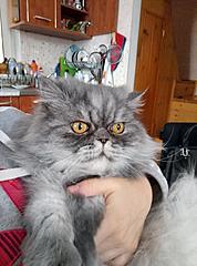 Нажмите на изображение для увеличения
Название: P70221-135428 (Copy).jpg
Просмотров: 103
Размер:	90.1 Кб
ID:	47275