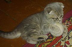 Нажмите на изображение для увеличения
Название: 20120312_079.jpg
Просмотров: 123
Размер:	90.3 Кб
ID:	6316