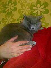 Нажмите на изображение для увеличения
Название: 08042012519.jpg
Просмотров: 225
Размер:	100.8 Кб
ID:	7524