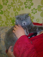 Нажмите на изображение для увеличения
Название: 08042012521.jpg
Просмотров: 229
Размер:	95.1 Кб
ID:	7525