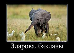 Нажмите на изображение для увеличения
Название: Demotivators_06.jpg
Просмотров: 146
Размер:	42.8 Кб
ID:	7933