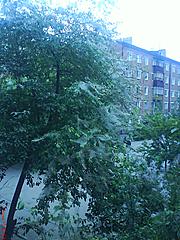 Нажмите на изображение для увеличения
Название: DSC00502.jpg
Просмотров: 160
Размер:	98.6 Кб
ID:	9747