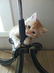 Нажмите на изображение для увеличения
Название: IMG_0401.jpg
Просмотров: 129
Размер:	98.6 Кб
ID:	9765